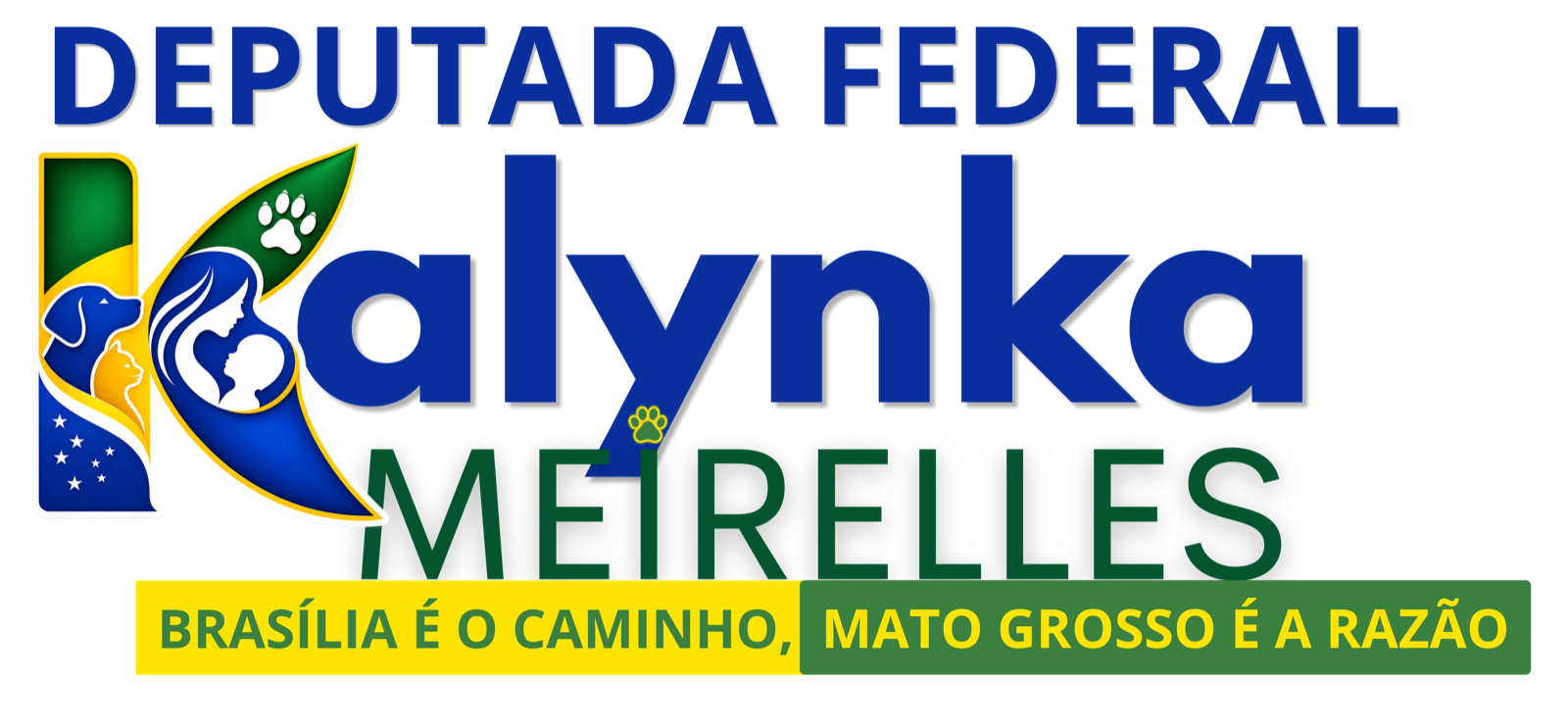 Kalynka Meirelles, Deputada Federal